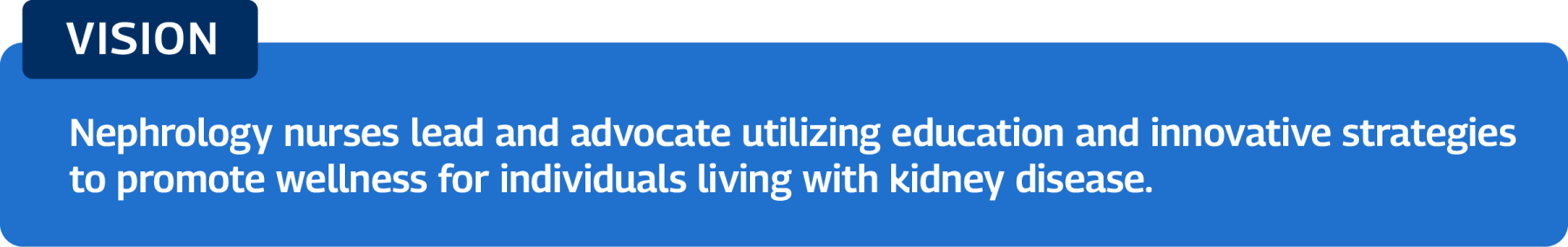 Vision: Nephrology nurses lead and advocate utilizing education and innovative strategies to promote wellness for individuals living with kidney disease.